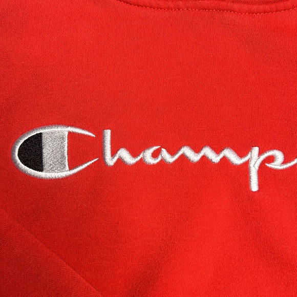 Kids Champions Hoodie - Picture 4 of 9